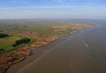 Scheldt estuary – Saeftinghe. Copyright: Dauchy