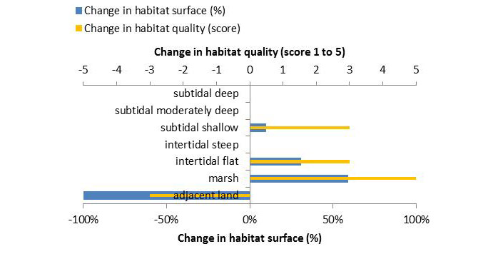 Figure 4: Ecosystem services analysis by Spadenländer Spitze: Indication of habitat surface and quality change, i.e. situation before versus after measure implementation.