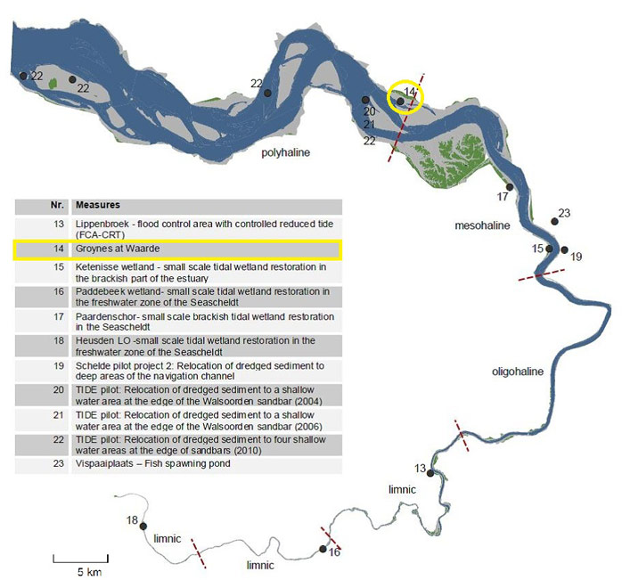 Figure 1. Location of the groynes near Waarde 