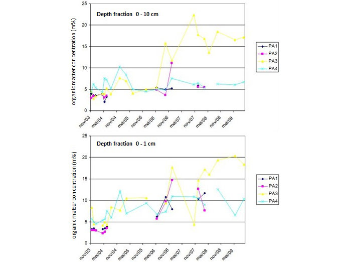 Figure 5. Sediment in the fraction 0-10cm depth (up) and in the fraction 0-1cm depth (down): organic matter concentration (mass percentage) in function of the time (Speybroeck et al. 2011).