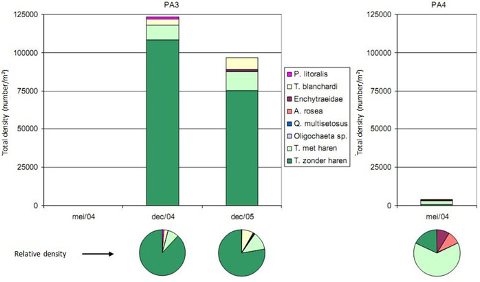 Figure 9. Total and relative density of Oligochaeta at locations PA3 and PA4 at Paddebeek (May 2004 – December 2005) (Van den Neucker et al. 2007)