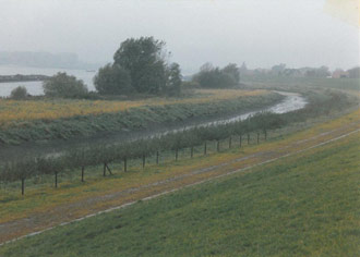 Figure 2: View of the measure area