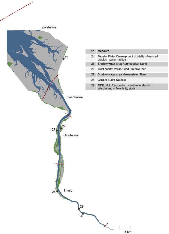 Figure 1: Location of compensation measure 24: ‚Tegeler Plate – Development of tidally influenced brackish water habitats‘ 