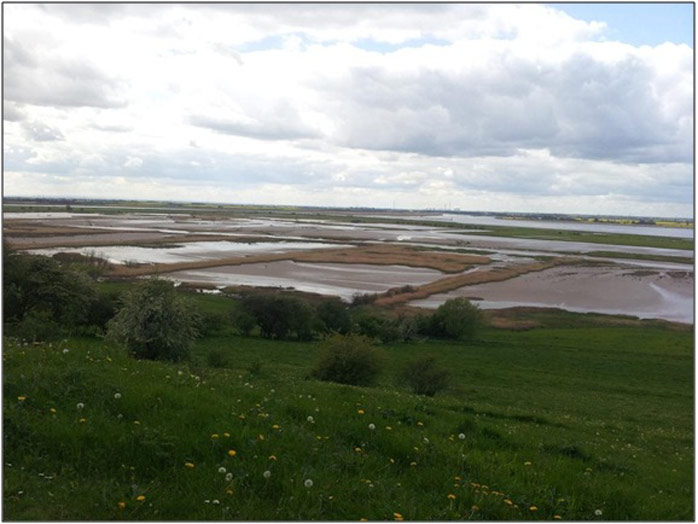 Figure 3: Photo of scheme (courtesy of intertidal.co.uk)