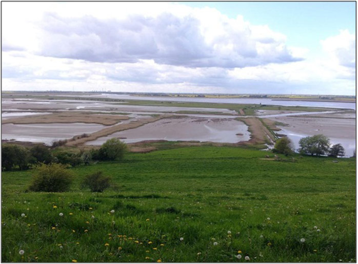 Figure 4: Photo of scheme (courtesy of intertidal.co.uk)