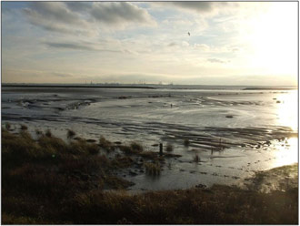 Figure 6: View of overall scheme (taken by Nigel Pontee, Halcrow)