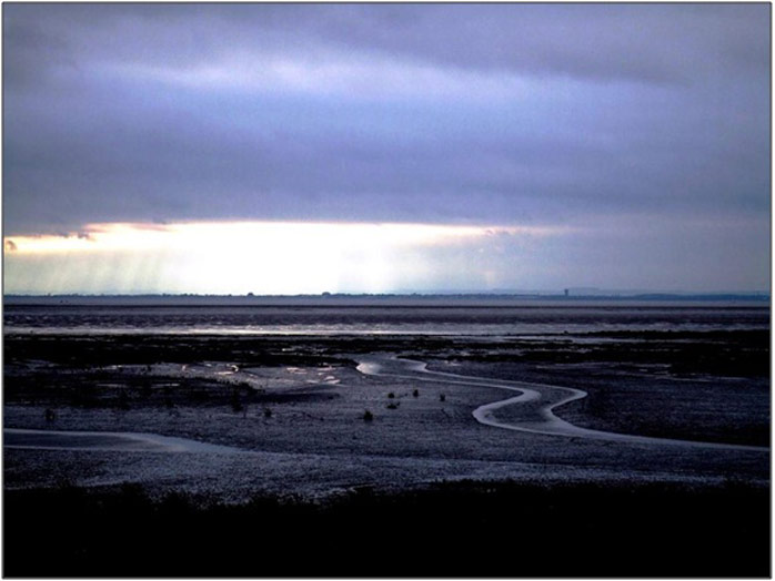 Figure 5: View of the site (taken by Nigel Pontee, Halcrow)