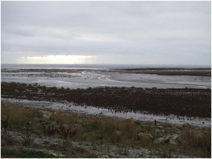 Figure 6: View of the site (taken by Nigel Pontee, Halcrow)