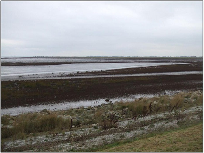 Figure 7: View of the site (taken by Nigel Pontee, Halcrow)