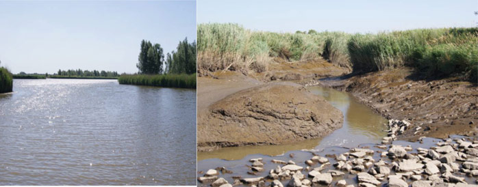 Figure 4: Shallow water zone with reed and wood (left) and creek adjacent to the overflow barrier in the north of the project area (source: KÜFOG 2010) 