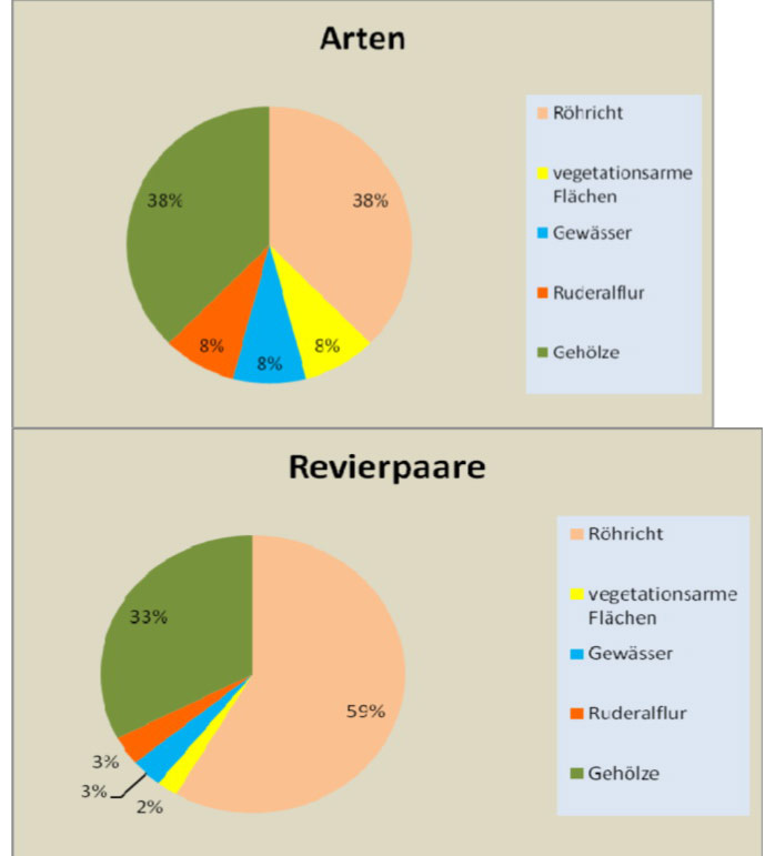 Figure 7: Percentages of breeding bird guilds on the compensation area of the Kleinensieler Plate in terms of species (‘Arten’, left) and breeding pairs (‘Revierpaare’). Especially reed breeders find suitable habitats in the shore region of the shallow water zone (see ‘Röhricht’), source: KÜFOG 2010