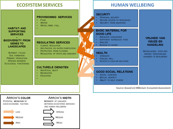 Figure 1 Ecosystem services link ecosystems to human well-being. Based on MA 2005.
