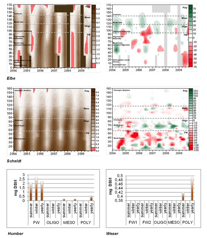 Fig. 33 Spatial (TIDE km) temporal (years) distribution of dissolved silica concentration (DSI, mg DSI/l, left) and of dissolved silica gain and loss as calculated according to the conservative mixing principle (µg DSI/l*km, right) for the Elbe and Scheldt. Main tributaries and recognizing sampling points are shown in the surfer plots. For the Humber and Weser not enough sampling stations covered the estuarine gradient to represent the data as a surfer plot or to calculate gain and loss. Therefore only average dissolved silica concentrations per zone are here displayed for yearly, summer and winter period. Missing data in the time-distance plots are represented as solid filled rectangles.